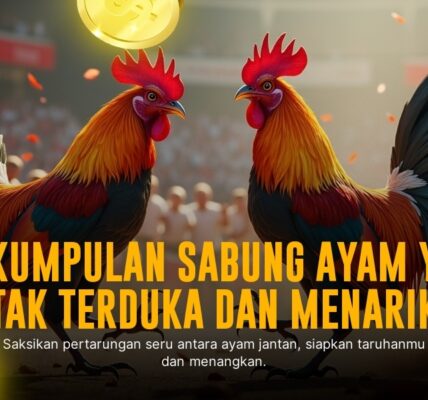 Mengenal Ayam Bangkok dan Pasaran Odds SV388 di Sabung Ayam Online