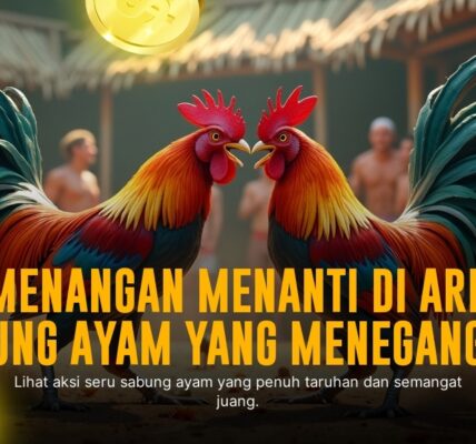 SABUNG AYAM SV388: Kenali Jenis Ayam, Odds, dan Provider Terpercaya