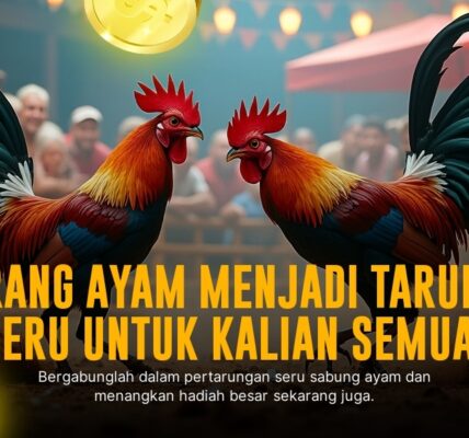 Mengenal Jenis Ayam Aduan Favorit di Sabung Ayam SV388
