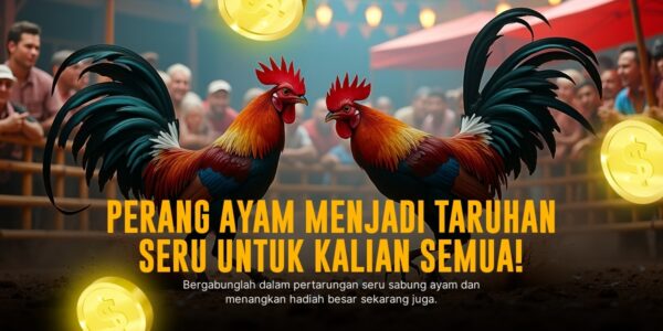 Mengenal Jenis Ayam Aduan Favorit di Sabung Ayam SV388