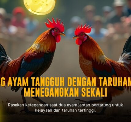 Mengenal Jenis Ayam Aduan Terbaik di SV388