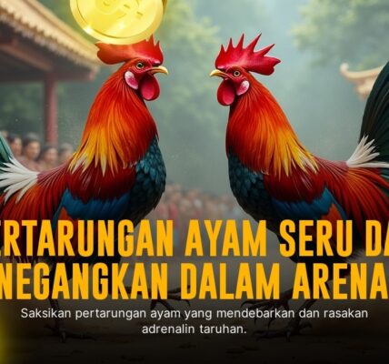 Mengulik Kerasnya Adu Ayam Bangkok di SV388