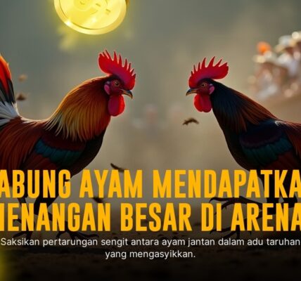Mengenal Jenis Ayam Aduan dan Odds Sabung Ayam SV388