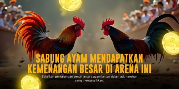 Mengenal Jenis Ayam Aduan dan Odds Sabung Ayam SV388