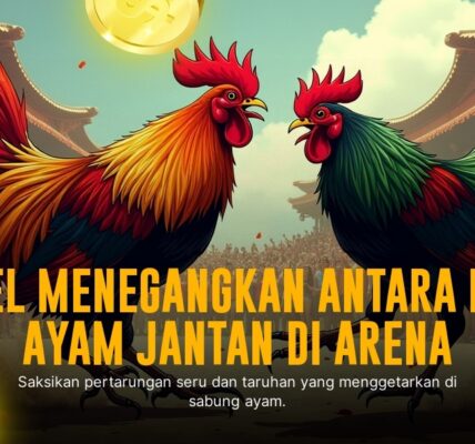 Kenali Jenis Ayam Aduan S128 dan Strategi Taruhan Odds Terbaik