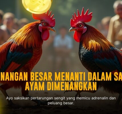 Mengenal Ayam Bangkok, Raja Sabung Ayam Terpopuler di SV388