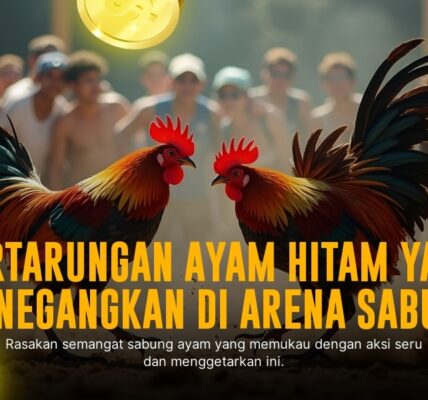Mengenal Jenis Ayam Aduan di SV388, Provider Sabung Ayam Terpercaya
