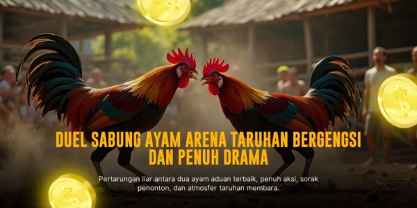 Mengenal Ayam Bangkok: Raja Sabung Ayam di SV388