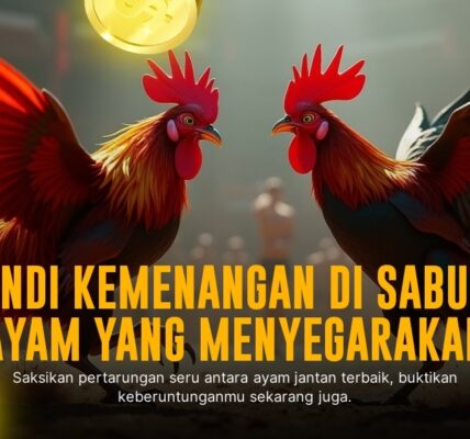 Mengenal Jenis Ayam Aduan dalam Sabung Ayam SV388