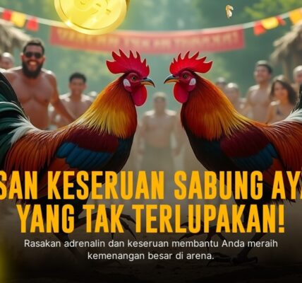 Mengenal Jenis Ayam Petarung SV388 Sabung Ayam Online