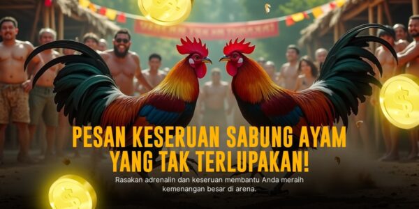 Mengenal Jenis Ayam Petarung SV388 Sabung Ayam Online