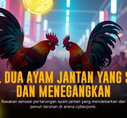 Mengupas Tuntas Sabung Ayam SV388: Jenis Ayam, Odds, dan Keunggulan Provider