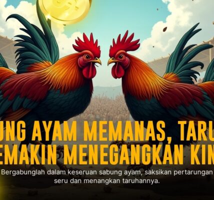 Kehebatan Ayam Bangkok di Arena Sabung Ayam SV388
