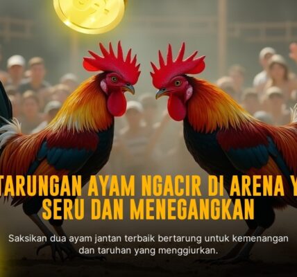 Sabung Ayam SV388: Jenis Ayam, Odds, dan Provider Terpercaya