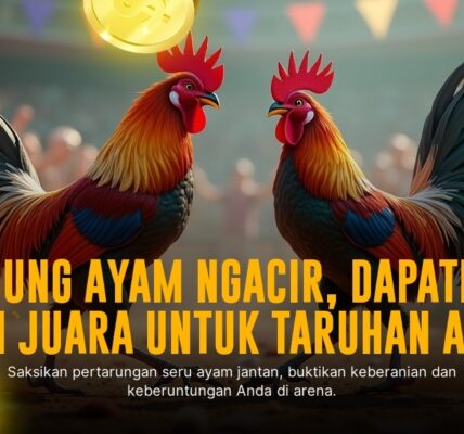 Adu Gesit Si Merah: Mengenal Jenis Ayam Bangkok dalam Sabung Ayam SV388