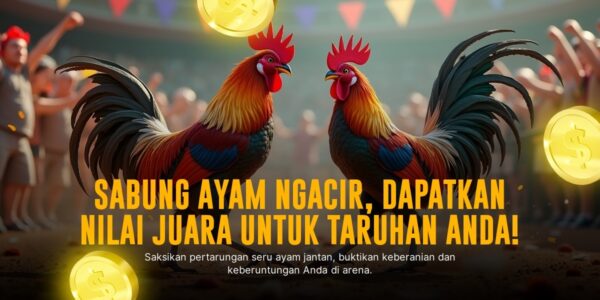 Adu Gesit Si Merah: Mengenal Jenis Ayam Bangkok dalam Sabung Ayam SV388