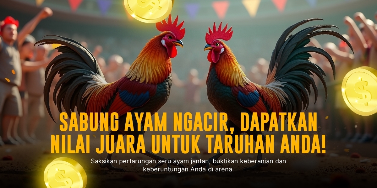Adu Gesit Si Merah: Mengenal Jenis Ayam Bangkok dalam Sabung Ayam SV388