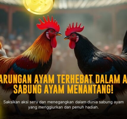 Mengungkap Kehebatan Ayam Bangkok dalam Sabung Ayam SV388