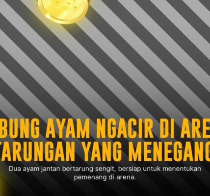 Mengenal Jenis Ayam Aduan SV388 yang Paling Populer dan Oddsnya