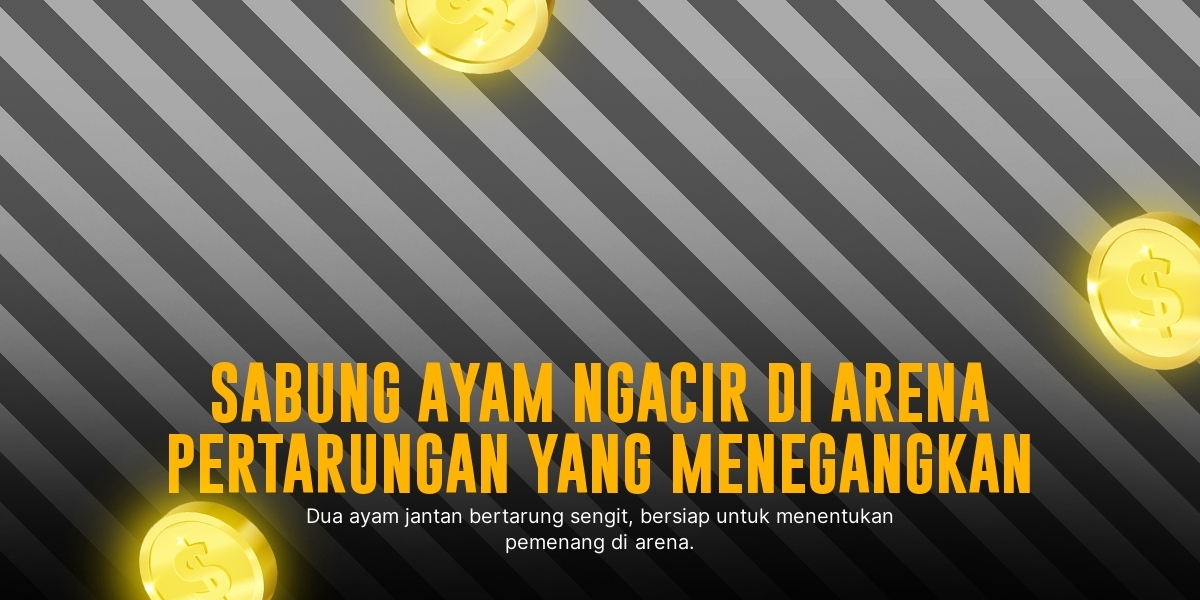 Mengenal Jenis Ayam Aduan SV388 yang Paling Populer dan Oddsnya