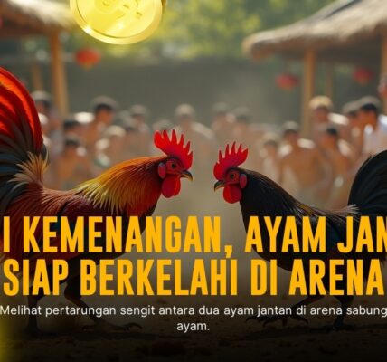 Mengenal Jenis Ayam Terbaik di Sabung Ayam SV388