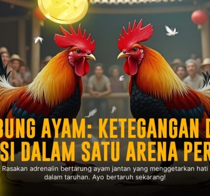 Mengenal Ayam Bangkok: Raja Sabung Ayam dengan Odds Menarik di SV388